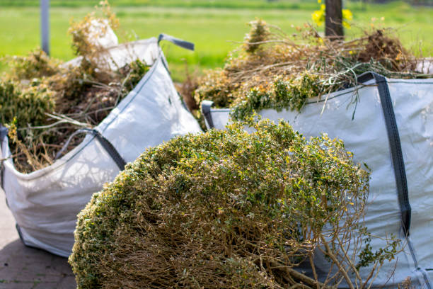Attic Cleanout Services in Wheatland, WY